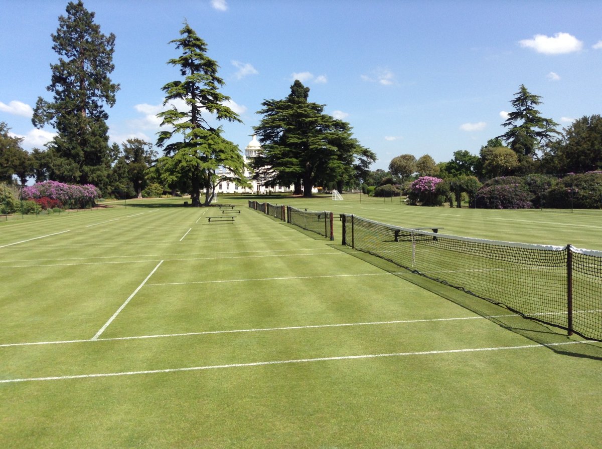 Le charme du gazon à Londres pour jouer au tennis